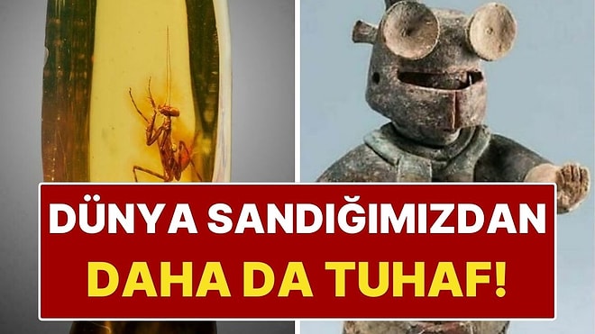 Dünyanın Dört Bir Yanından "Gerçek Olamaz" Dedirten 12 Olay!
