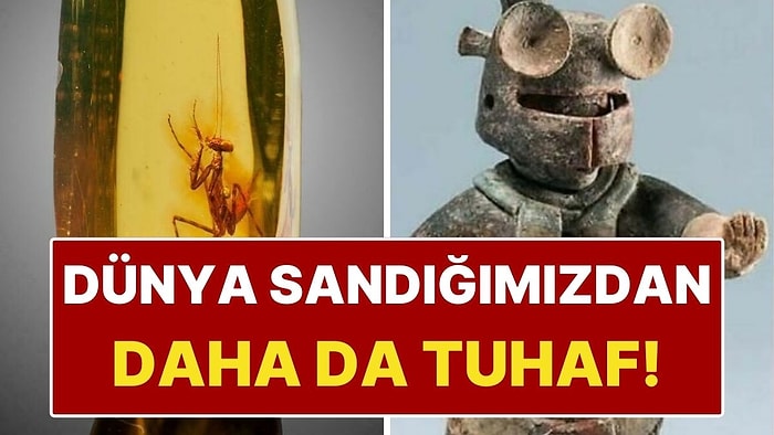Dünyanın Dört Bir Yanından "Gerçek Olamaz" Dedirten 12 Olay!