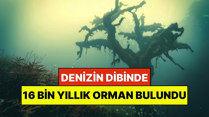 Denizin Dibinde 16 Bin Yıldır Kayıp Orman Bulundu: Meğer Atlantis Gerçekmiş