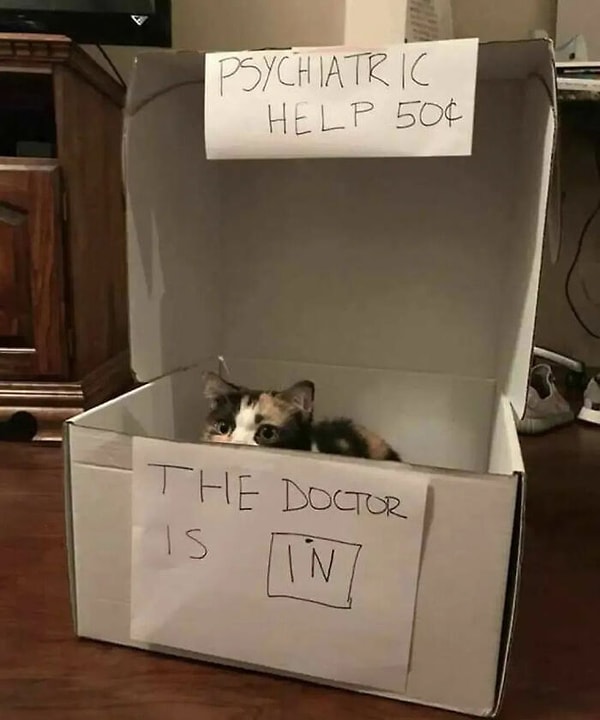 5. Benim kedim daha ucuza çalışıyor yalnız.