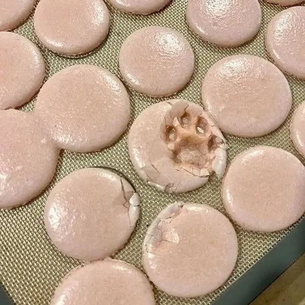 6. Bütün gece hamur yoğurmaktan pestili çıkmış bir kedinin pati izine bakıyorsunuz şu anda.