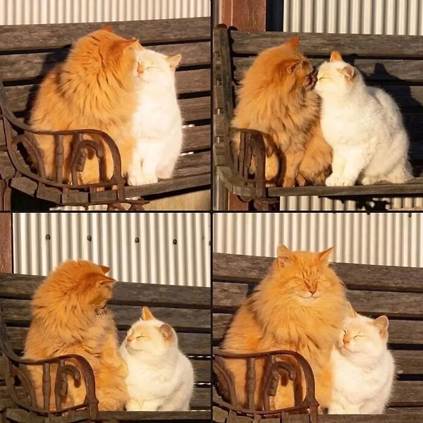 8. Kıskandık mı? Evet, hem de deli gibi...