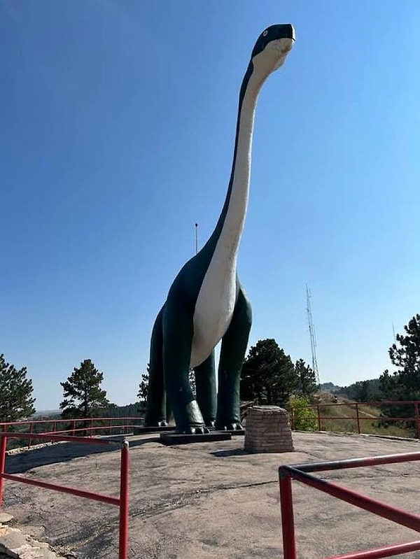 7. Güney Dakota, Rapid City’de bulunan "Dinosaur Park", bir tepenin üzerine yerleştirilmiş devasa yedi beton dinozor heykeline ev sahipliği yapar.