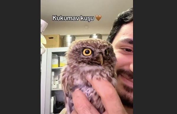 Her biri birbirinden üzücü sebeplerin arasında horozun veterinere getirilme sebebi ise kalpleri kırdı;