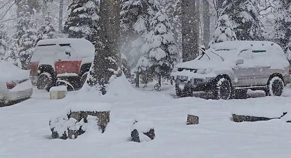 İstanbul'un yanı başında yer alan Düzce'ye kar yağdı.