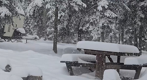 Düzce Yaylalarında Kar Kalınlığı 40 Santimetreye Ulaştı