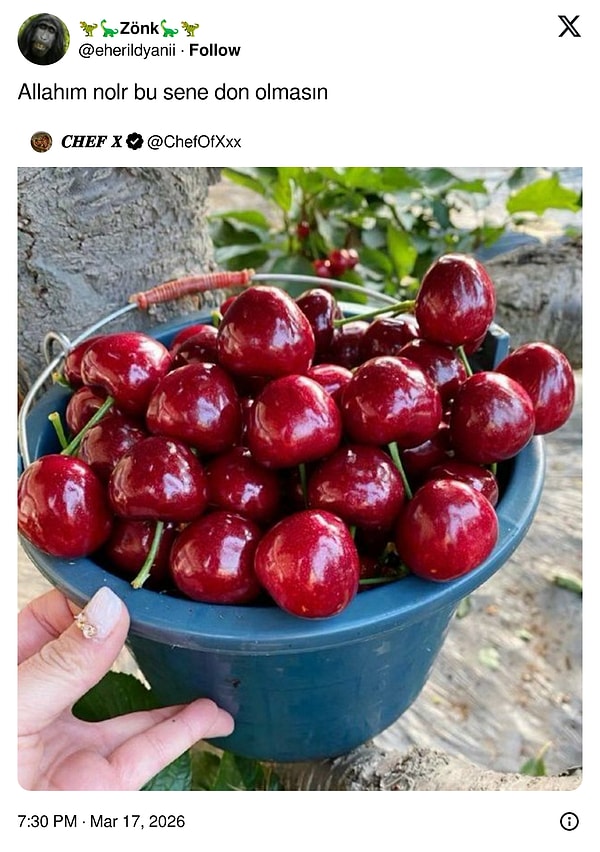 Kirazın tadını unutanlar?