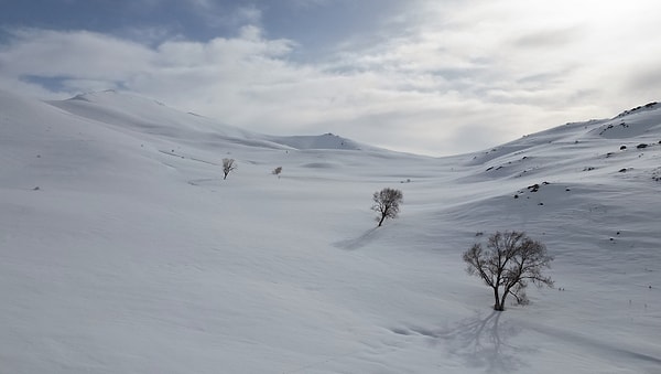 Çoğu Yerde Yağmur Beklenirken Bolu ve Kastamonu'da Kar Yağısı Devam Ediyor