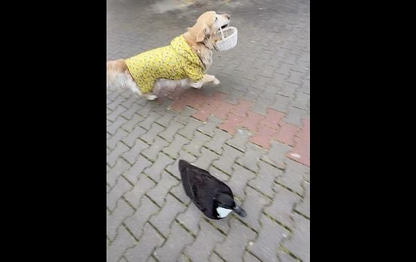 Gerçek bayram şekerleri 🥰