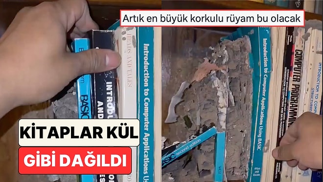Yıllarca El Sürülmeyen Bir Kütüphanedeki Kitapların Termitler Yüzünden Tamamen Çürüdüğü Görüldü