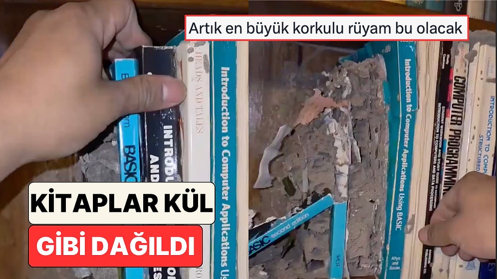 Yıllarca El Sürülmeyen Bir Kütüphanedeki Kitapların Termitler Yüzünden Tamamen Çürüdüğü Görüldü
