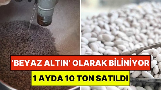 Elazığ’ın ‘Beyaz Altını’ 2 Saatte Üretiliyor: Soğuk Hava Sayesinde 1 Ayda 10 Ton Badem Sattılar