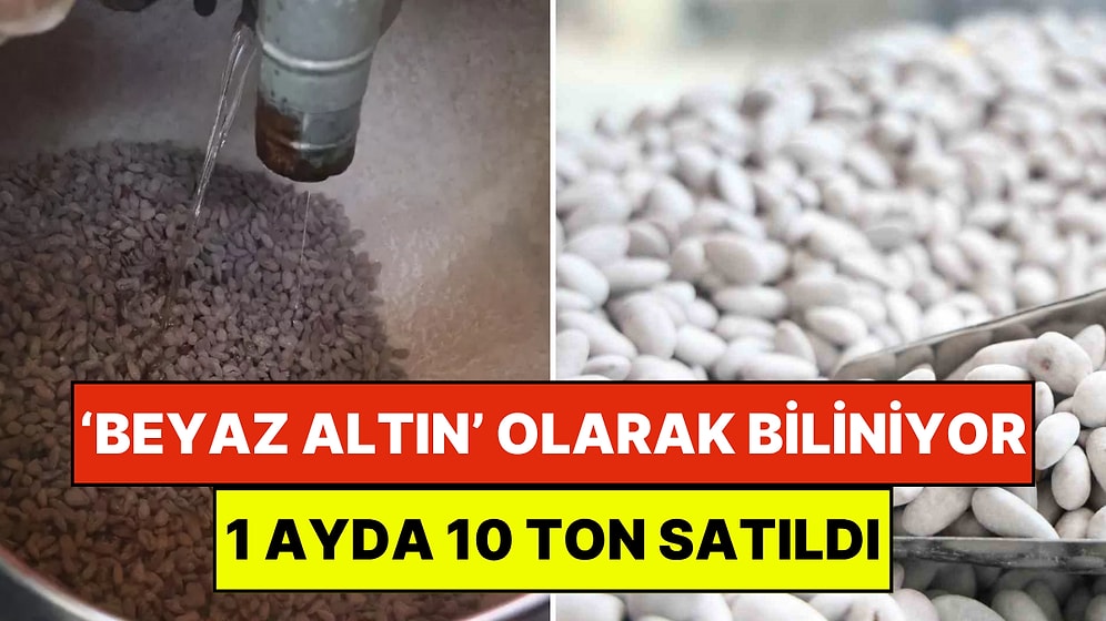 Elazığ’ın ‘Beyaz Altını’ 2 Saatte Üretiliyor: Soğuk Hava Sayesinde 1 Ayda 10 Ton Badem Sattılar