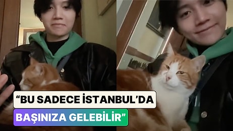 Hong Konglu Müzisyen Kin Ryan Türkiye'de Bir Kafede Otururken Bir Anda Kucağına Tırmanan Kediyi Paylaştı