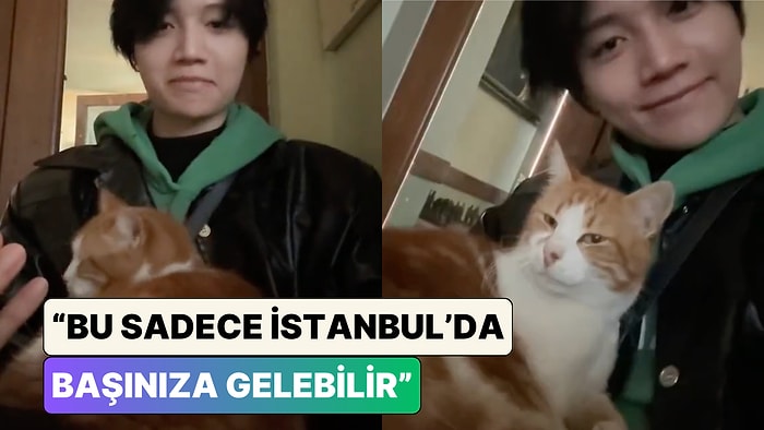 Hong Konglu Müzisyen Kin Ryan Türkiye'de Bir Kafede Otururken Bir Anda Kucağına Tırmanan Kediyi Paylaştı