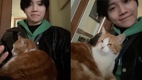 Hong Kong Musician Kin Ryan Captured a Heartwarming Moment When a Stray Cat Claimed His Lap in a Turkish Cafe