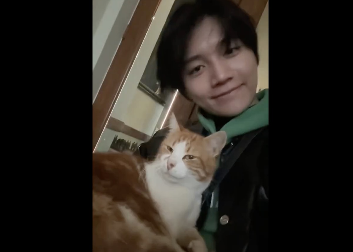 Kin Ryan Facts Kin Ryan Gets a Purr-fect Surprise Visit in Turkey - Onedio