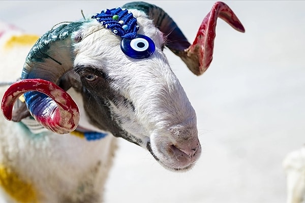 Kurban Bayramı Ne Zaman 2026?