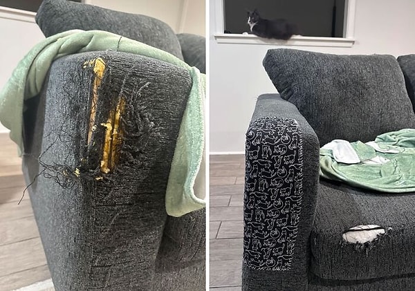 Kedinin verdiği hasarı eğlenceli bir tasarım detayına dönüştürdü! 😍