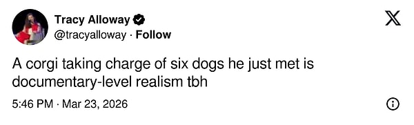 "Daha yeni tanıştığı altı köpeğin liderliğini bir Corgi’nin üstlenmesi belgesel seviyesinde bir gerçeklik, açıkçası."