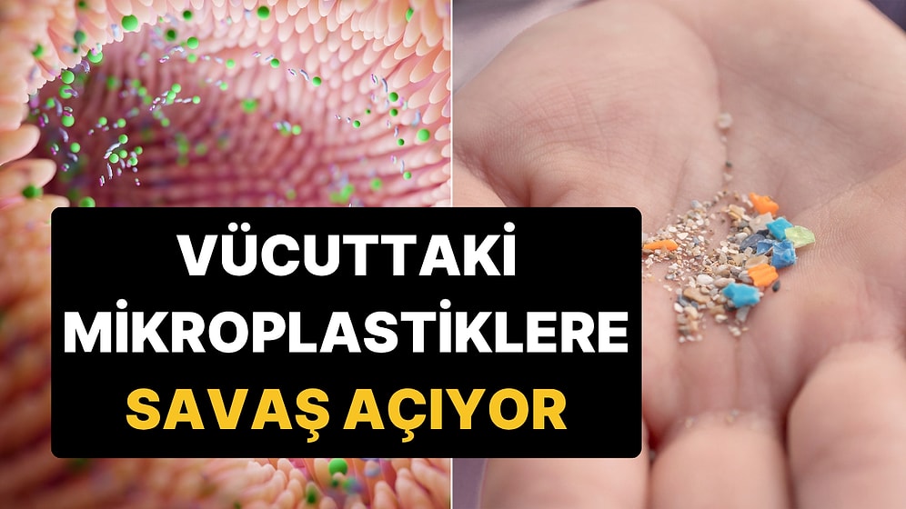 Vücudumuzda Biriken Mikroplastiklerin Dışkı Yoluyla Atılmasını Sağlayan Besin!