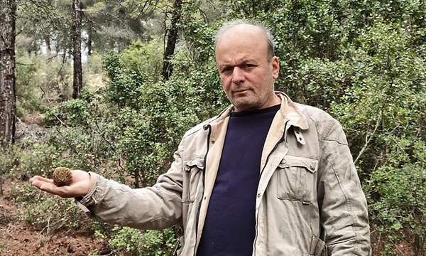 Mantarın oluşumunda rakım ve iklim koşulları belirleyici oluyor