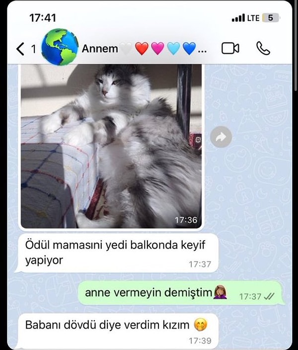Gururlu bakış...