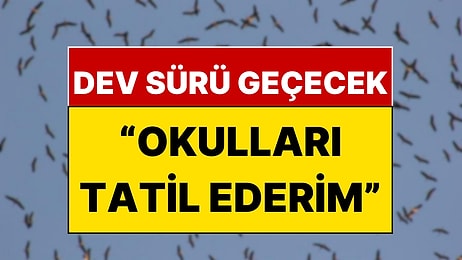 İstanbullular Dikkat: Bugünlerde Gözünüz Gökyüzünde Olsun!