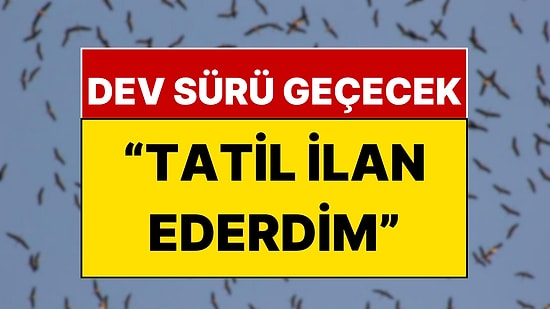 İstanbullular Dikkat: Bugünlerde Gözünüz Gökyüzünde Olsun!