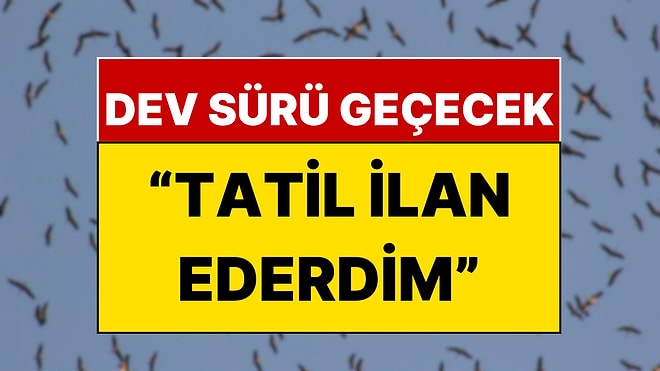 İstanbullular Dikkat: Bugünlerde Gözünüz Gökyüzünde Olsun!