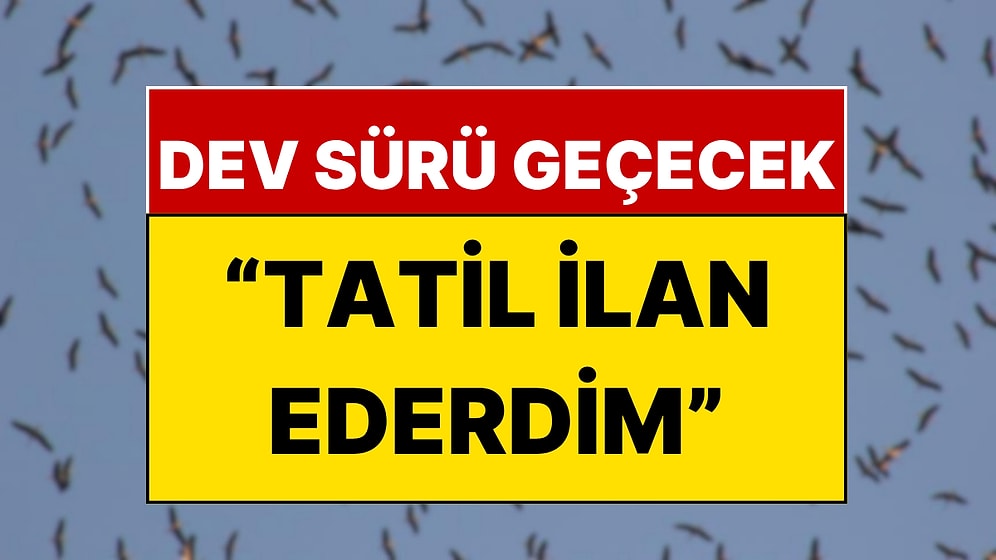 İstanbullular Dikkat: Bugünlerde Gözünüz Gökyüzünde Olsun!