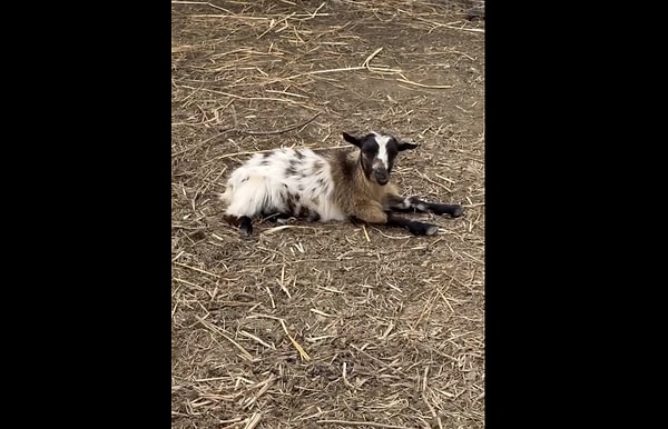 So, why are they making this move?