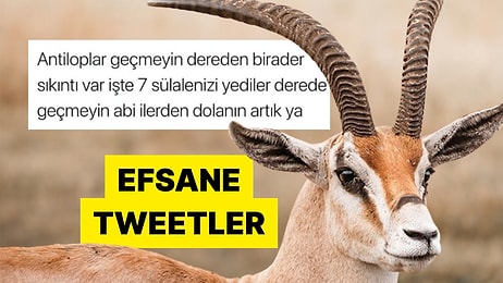 Twitter'ın Twitter Olduğu Zamanlardan Eski Ama Hala Komik Tweetler