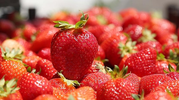 Türkiye’de olduğu gibi dünyada da gıda güvenliği en önemli sorunların başında geliyor.