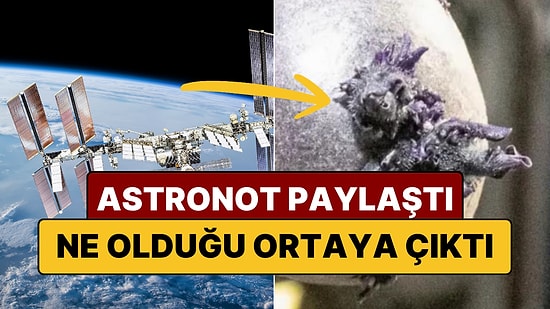 Uluslararası Uzay İstasyonu'ndaki "Dokunaçlı" Oluşum Panik Yarattı, Gerçek Bambaşka Çıktı!