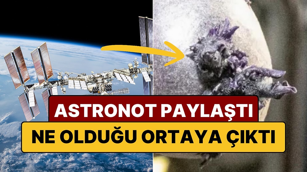 Uluslararası Uzay İstasyonu'ndaki "Dokunaçlı" Oluşum Panik Yarattı, Gerçek Bambaşka Çıktı!