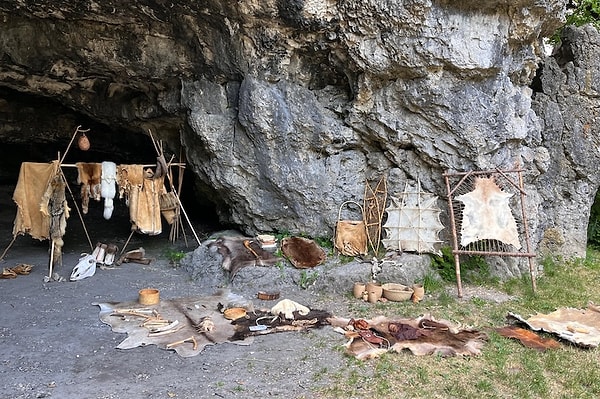 Neolitik dönemde tarımın yayılmasıyla birlikte Güneybatı Asya’dan Avrupa’ya gerçekleşen büyük ölçekli insan göçü, köpek popülasyonlarının yapısını da dönüştürdü.