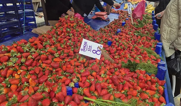 Türkiye'de çilek hasadı sezonu başladı.
