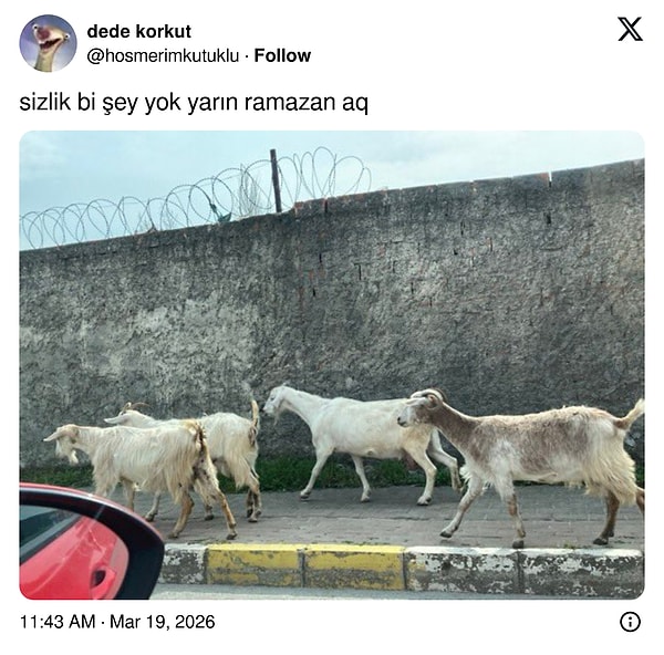 Bayram manzaraları haftayı domine etti.