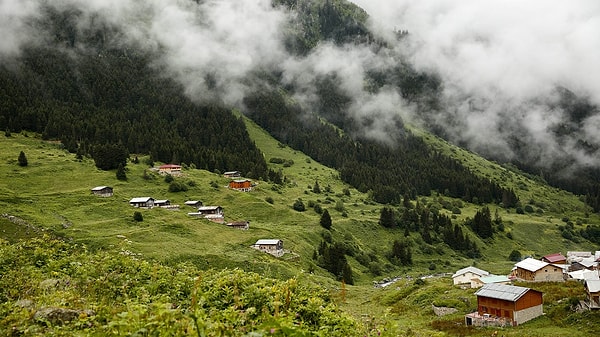 Sen Tam Bir Karadenizlisin