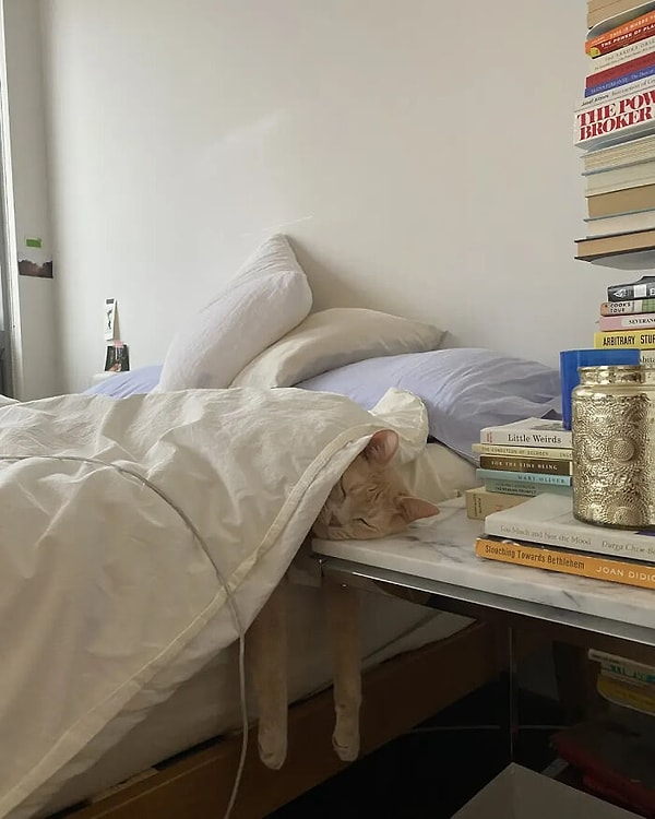 3. Sabah 7'de işe hazırlanırken kedilerin şöyle fosur fosur uyuması fena kıskandırıyor yalnız.