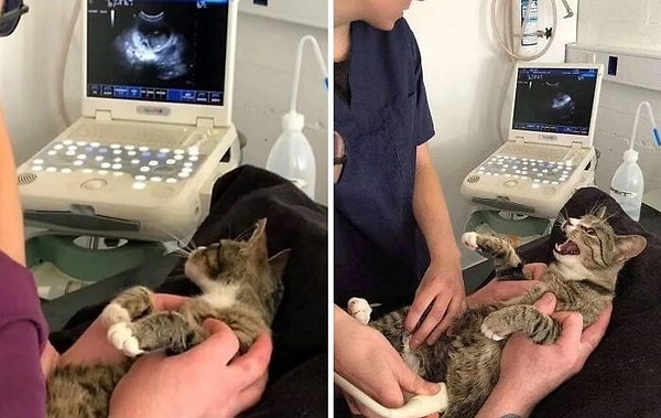 9. Bakamayacaksanız doğurmayın kardeşim! Ne bu şaşkınlık?