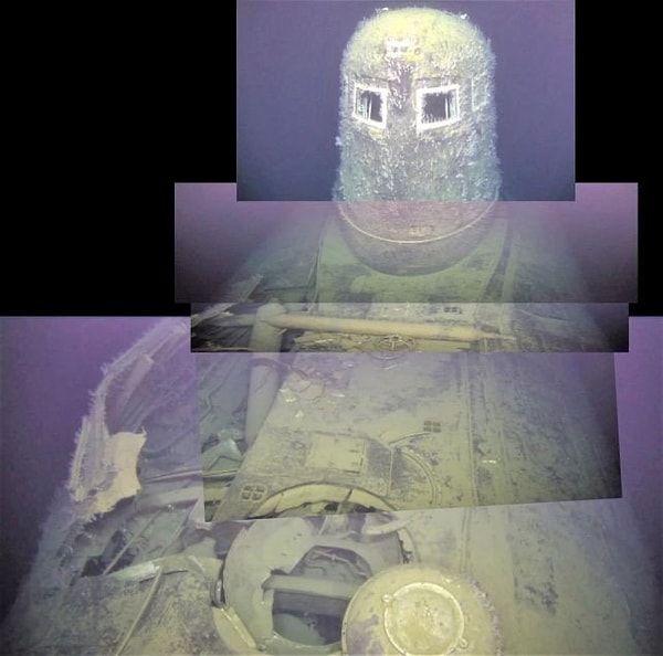 Radyasyon sızıntısının ekosistem üzerindeki mevcut etki araştırıldı.