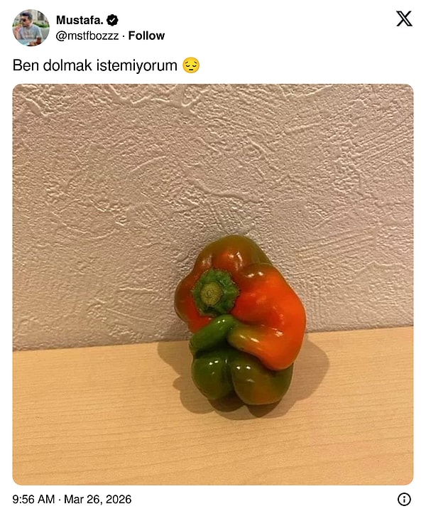 Dolmak zorunda değilim.
