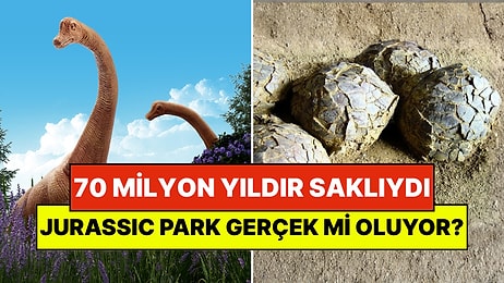 Jurassic Park Gerçek mi Oluyor? 70 Milyon Yıldır Saklı Bulunan Yüzlerce Dinazor Yumurtası Ortaya Çıktı!