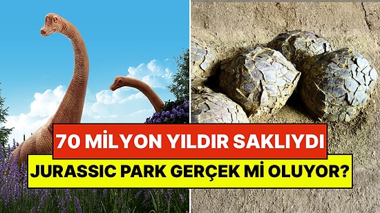 Jurassic Park Gerçek mi Oluyor? 70 Milyon Yıldır Saklı Bulunan Yüzlerce Dinazor Yumurtası Ortaya Çıktı!