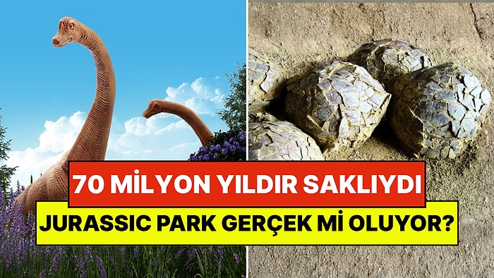 Jurassic Park Gerçek mi Oluyor? 70 Milyon Yıldır Saklı Bulunan Yüzlerce Dinazor Yumurtası Ortaya Çıktı!
