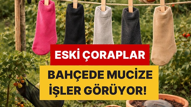 Eski Çoraplar Altın Değerinde: Bahçıvanların Hasadı Artırmak İçin Gizli Yöntemi