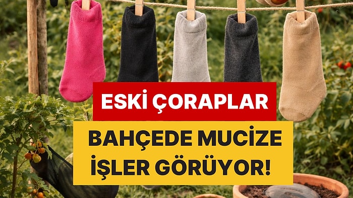Eski Çoraplar Altın Değerinde: Bahçıvanların Hasadı Artırmak İçin Gizli Yöntemi