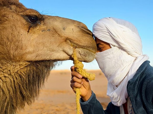 4. Mansiyon - Portre ve Otoportre: Sessiz Anlayış - Wang Hsiu Ling